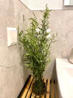 Goldstadt Cozy Smart Suite - City Apartament Schlössle - B&B Pforzheim