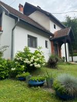 Privatni smeštaj Sobe Branković - B&B