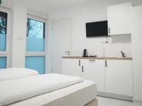 Large Double or Twin Room