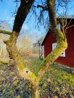 Villa Apple Garden - B&B Tingsryd