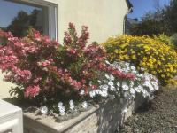Soizic' house - B&B