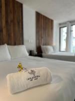 Casa Madera 2B - B&B Zacatlán