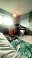 Single Room with Garden View