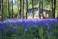 Hollicarrs - Woodland Lodge - Ferienwohnung