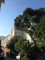 Riviera Palace Panoramic Sea View 2 Bed Belle Epoch Montecarlo - B&B Beausoleil