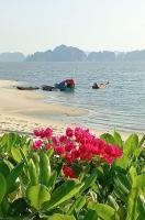 Coco Hoang Homestay- Green bay garden - B&B