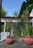 Cozy and quiet villa with garden, terrace and AC - Bed and Breakfast Puerto Vallarta