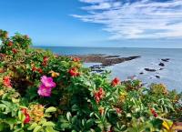 King's Seafront Place - B&B Cullercoats