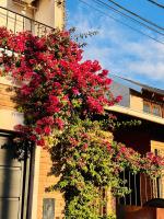 La Posada De Lety - Ferienwohnung