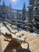 New cosy apartment in nature - Krvavec - Ferienwohnung Zirklach