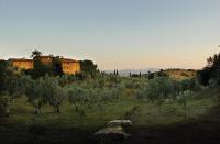 Agriturismo Podere Acquarello - Ferienwohnung