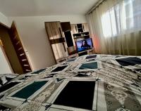 Cozy Comfort Studio Mioritei Wi Fi Self Check in - 11 Venturo - B&B Bacău
