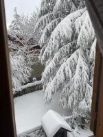 Appartamento immerso nel verde - B&B Campo di Giove