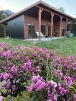 Rio Blanco - B&B Hornopirén