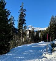 Sauna, Pool, Gym, Skishuttle inkl plus Ski-in - Bed and Breakfast Arosa