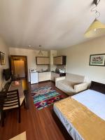 Nixon's Bansko Studio - B&B
