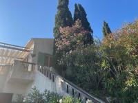 Casa Mimosa - B&B