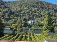 Hakans moselblick Ferienwohnung 2 - B&B Treis-Karden