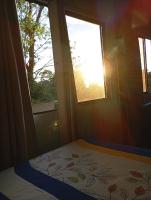 Mono titi third floor - B&B Manuel Antonio