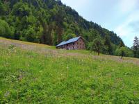 Ferienhütte See 4 - B&B Seeberg
