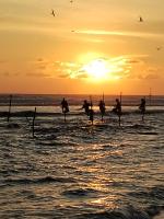 Animal Surf Point - B&B