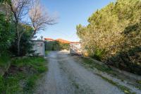 Dhamma Home - Goelba - B&B Palazzo