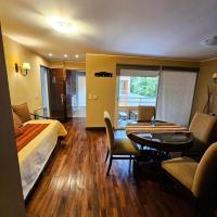 Deluxe One-Bedroom Apartment