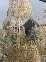 Forest Nest Divčibare - B&B Divčibare