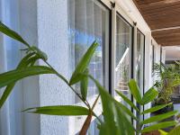 Appartamento con 2 Camere da Letto e Vista Oceano