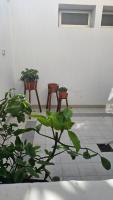 Apoteka Zipoli II - B&B