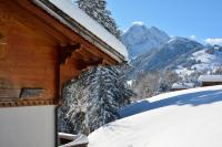 Chalet Meiseli - B&B Adelboden