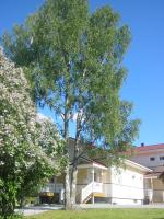 Rauhanlaakson huoneistot - Bed and Breakfast Merikarvia