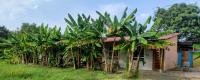 Cabañas Casa Fany - Bed and Breakfast