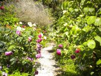 La Gallina Felice B&B - Bed and Breakfast Meta