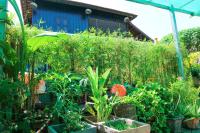 Old Khmer House - Ferienwohnung Siem Reap