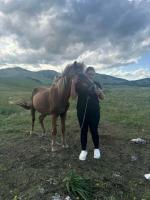 Etno selo - Guest House Etno Village - TRSA - B&B Plužine