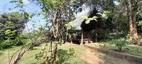 Private Cabin and private Kitchen - Experience serenity, and beautiful nature - B&B Sigiriya