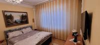 Vila Telec - Bicazu Ardelean - Bed and Breakfast