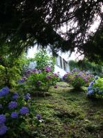 Camera Matrimoniale con Vista Lago