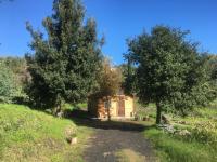 Alberto's Mt.Etna B&B - B&B Zafferana Etnea