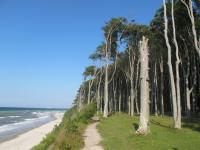 Ferienwohnung Zum Kliff - B&B Ostseebad Nienhagen