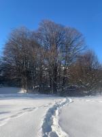 Carroz d Araches , 2 pièces rénové vue montagne, 4 personnes, 3 min du centre, parking,balcon - B&B Arâches-la-Frasse