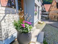 Ferienwohnung Alpfahrt - B&B Schwellbrunn