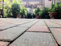 Pension Borna - Bed and Breakfast