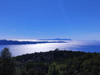 Kameni cvijet - B&B Murvica