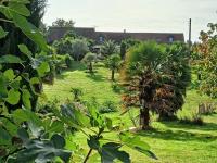 Maison au calme avec jardin exotique pour 7 personnes - B&B Thorigné-sur-Dué