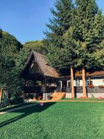 Căsuța cu doi brazi - B&B Baia Mare