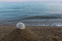 Kaitiapartments - B&B Toroni