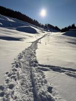 Beautiful Swiss chalet with breathtaking views and a sauna - B&B Riein