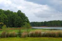 Alojamiento Las Camelias - Chambres d’hôtes Concordia